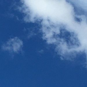 Meet your Posher, Catherine